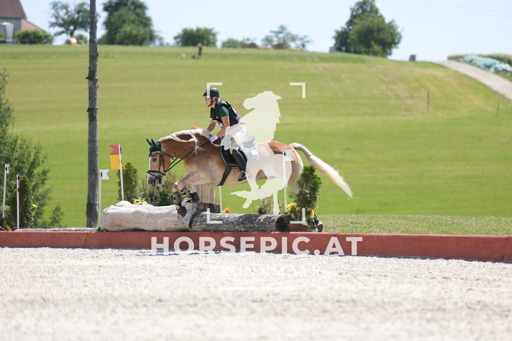 0P6A3778 | Willkommen bei Brunnmayr - Design & Fotografie – Ihrem Spezialisten für Reitturniere und Pferdeveranstaltungen in Oberösterreich, Salzburg und Bayern! Seit über 17 Jahren sind wir leidenschaftlich dabei.