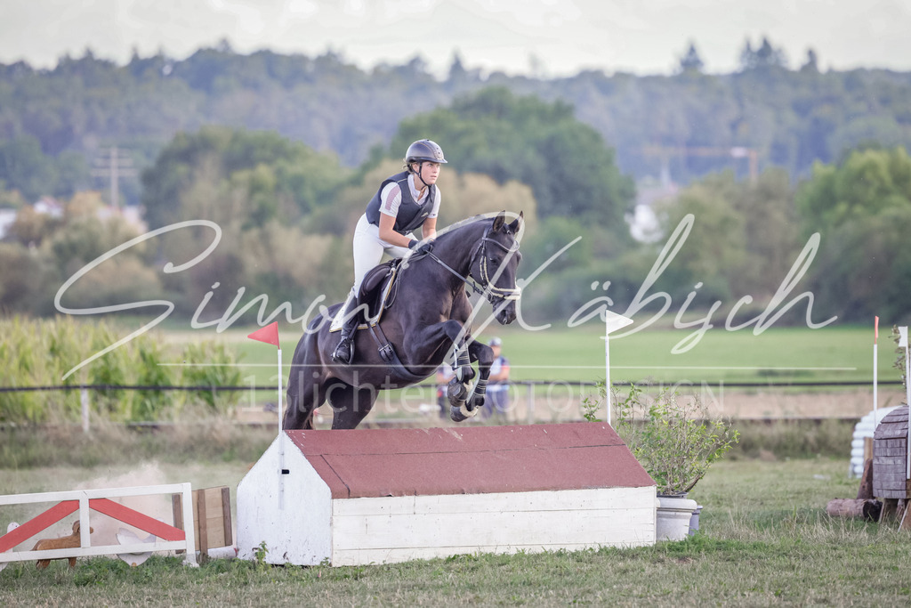 20250906-_3LI7348 | Tierfotografie Pferde, Hunde, Katzen, Haustiere.
Turnierfotografie Reitturniere, Reiten, Springreiten, Dressur in Hanau, dem Main-Kinzig-Kreis und dem Rhein-Main- Gebiet um Frankfurt