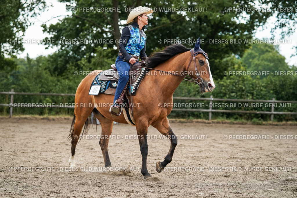 DSC03355 | Pferdegrafie