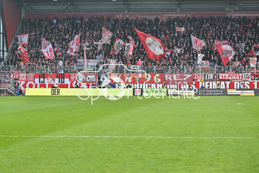 SSV Jahn Regensburg - 1. FC Köln | Fans des FC unterstuetzen ihr Team in Regensburg / 2. Bundesliga: SSV Jahn Regensburg - 1. FC Koen, Jahnstadion am 08.12.2024