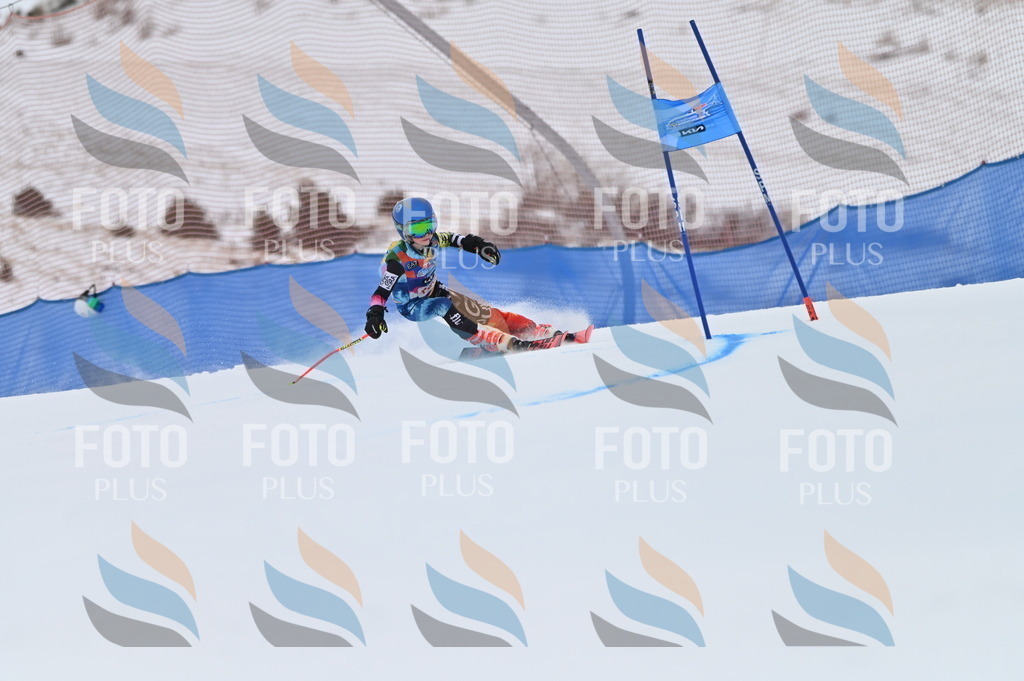 BGV_0927 | holidayphoto