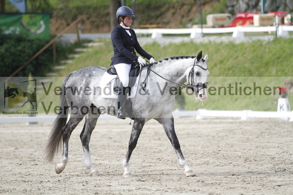 _MG_6097 | equestrian-live-com