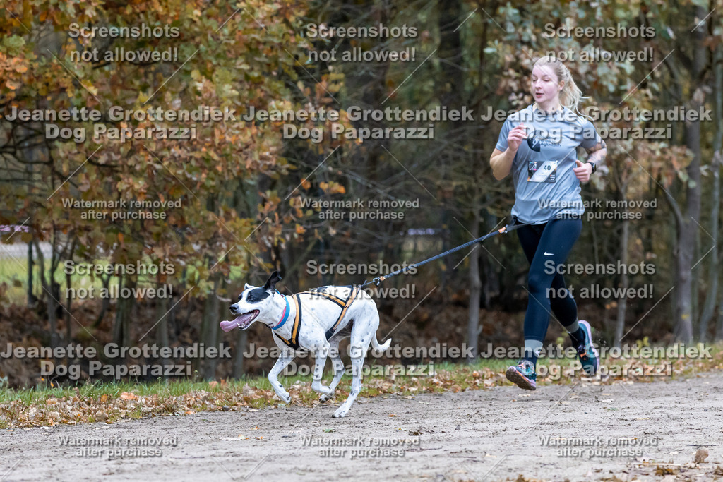 Dog Paparazzi - SD CaniX Championship 2025-310 | Dog Paparazzi Jeanette Grottendiek Fotografie & Videografie - Realisiert mit Pictrs.com