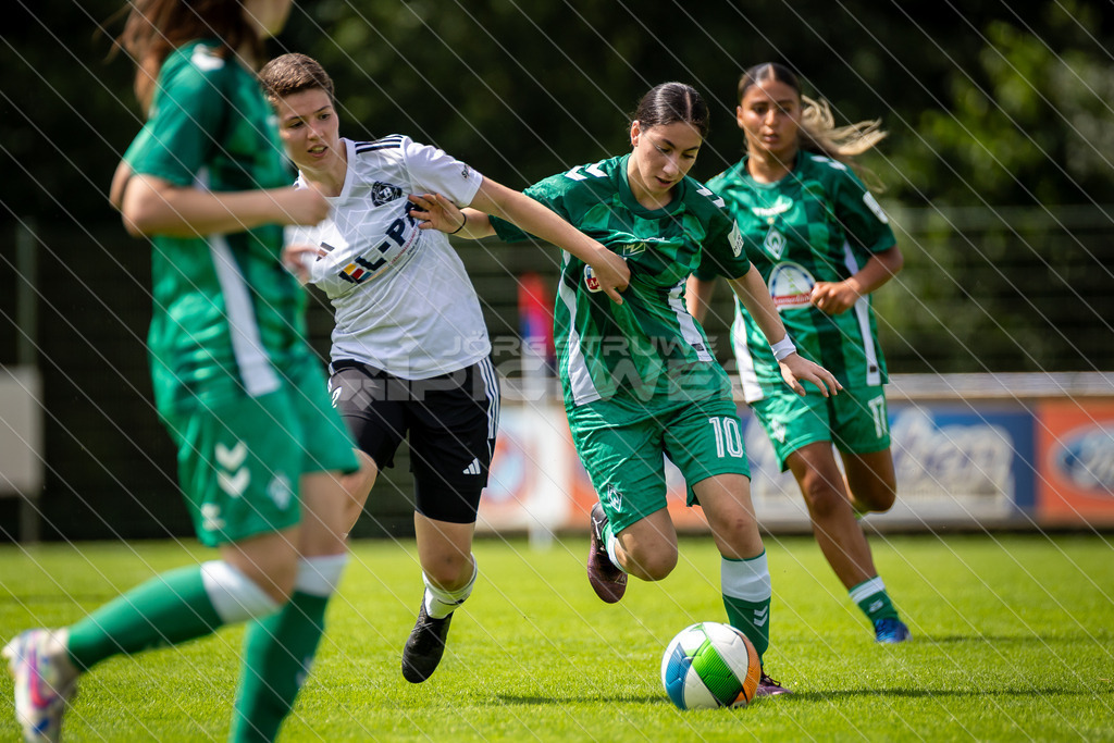 20250719_Picselweb-Fotografie_1R3_2407 | Dein Fotograf aus dem Landkreis Stade für Sport und Events - Realisiert mit Pictrs.com