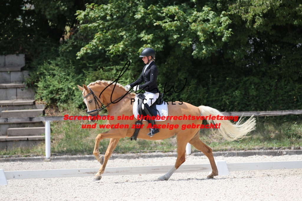 IMG_4636 | lmwpictures - Realisiert mit Pictrs.com