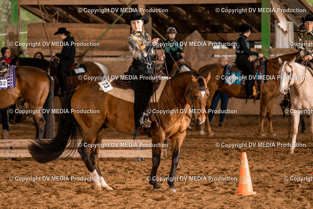 BAL00285 | dv-media-shop - Realisiert mit Pictrs.com