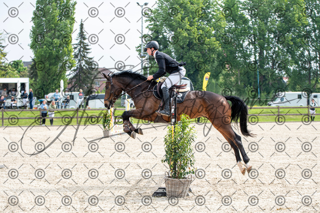 KPT_2446 | andre_photographic