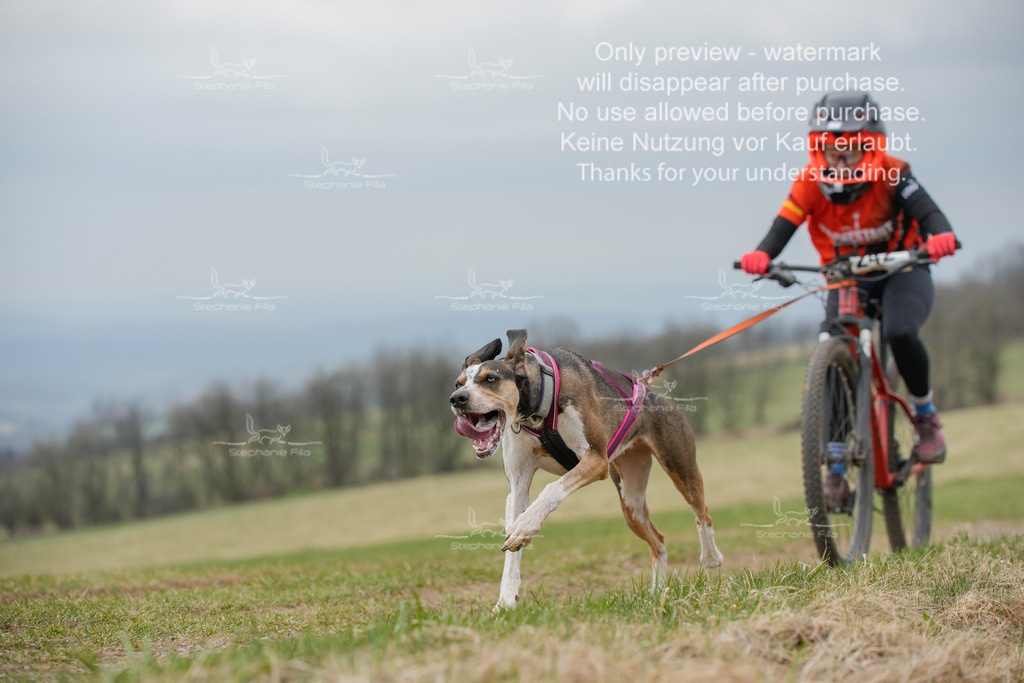 BikeSA-250 | stephaniefillaphotographie - Realisiert mit Pictrs.com