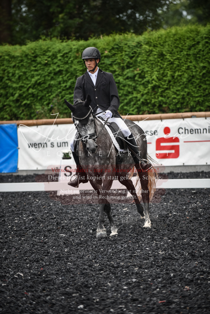 DSC_4631 | Pferde- und Turnierfotografie in Westsachsen. Pferdeportraits, Auftragszeichnungen und intuitive Kunst.