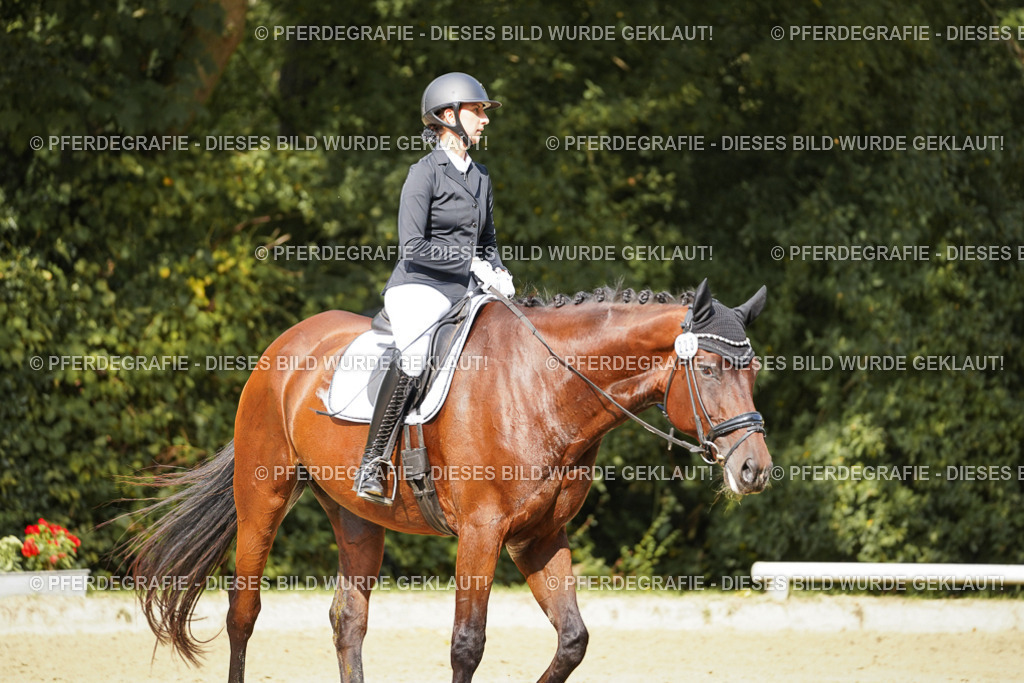 DSC02486 | Pferdegrafie