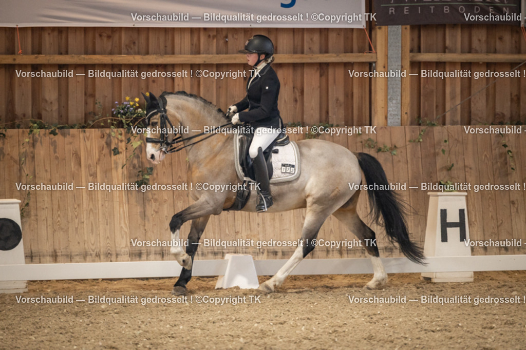 _D5A9100 | Emotionale Pferde- & People-Fotografie rund um Heidelberg, Leimen & Umgebung. Natürliche Fotos von Pferd, Mensch & Familie. Jetzt Termin sichern!