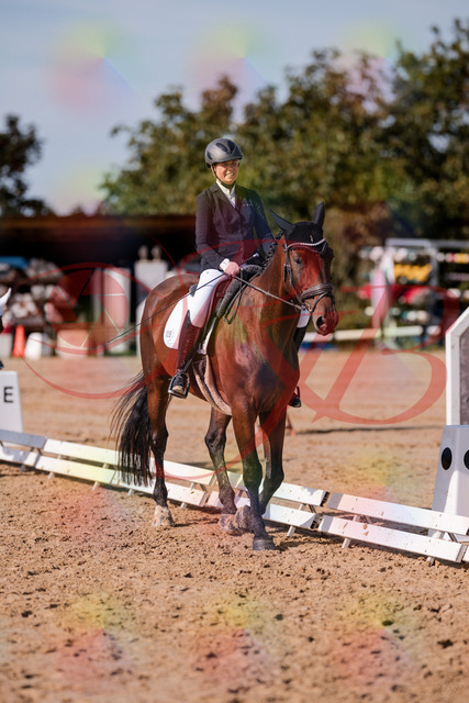 2026_10_03_Siefer-Hof_130250_Z81_57867927 | Professionelle Reitsport-, Turnier- und Eventfotografie von Robert Broda. Galerien mit ausgewählten und bearbeiteten Bildern direkt online ansehen und bestellen.