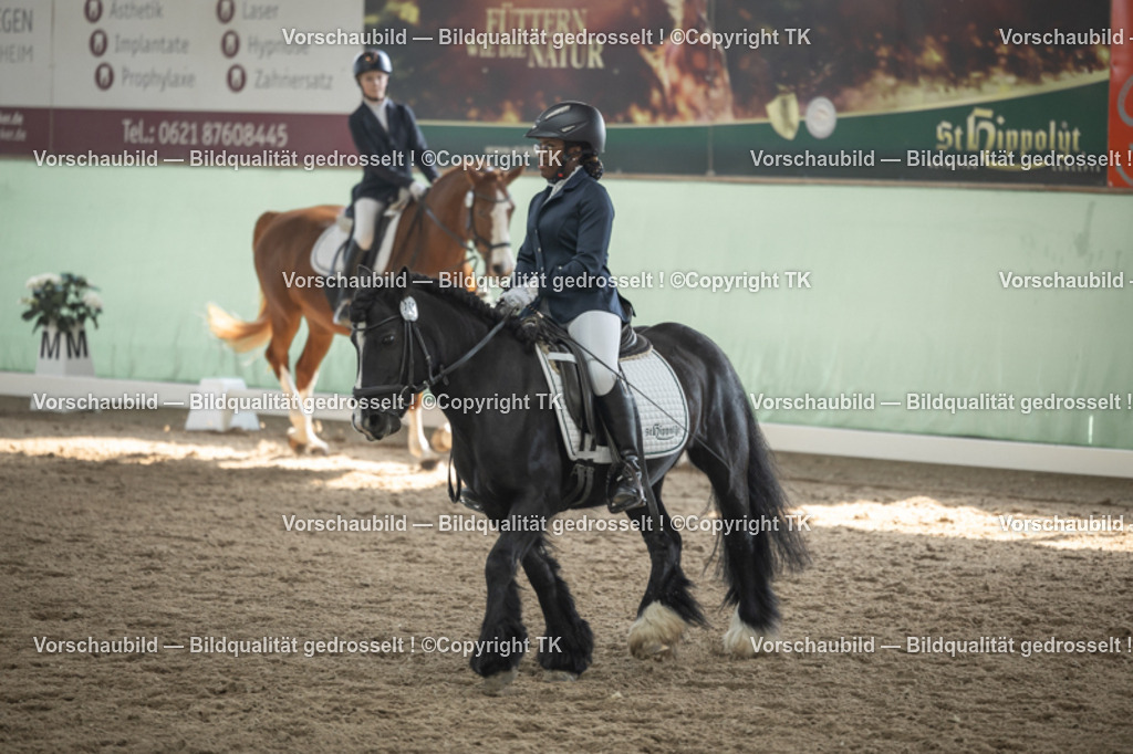 _D5A5532 | Emotionale Pferde- & People-Fotografie rund um Heidelberg, Leimen & Umgebung. Natürliche Fotos von Pferd, Mensch & Familie. Jetzt Termin sichern!