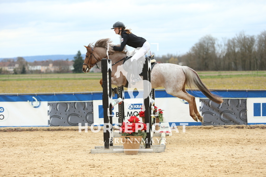 DL2Q2607 | Willkommen bei Brunnmayr - Design & Fotografie – Ihrem Spezialisten für Reitturniere und Pferdeveranstaltungen in Oberösterreich, Salzburg und Bayern! Seit über 17 Jahren sind wir leidenschaftlich dabei.