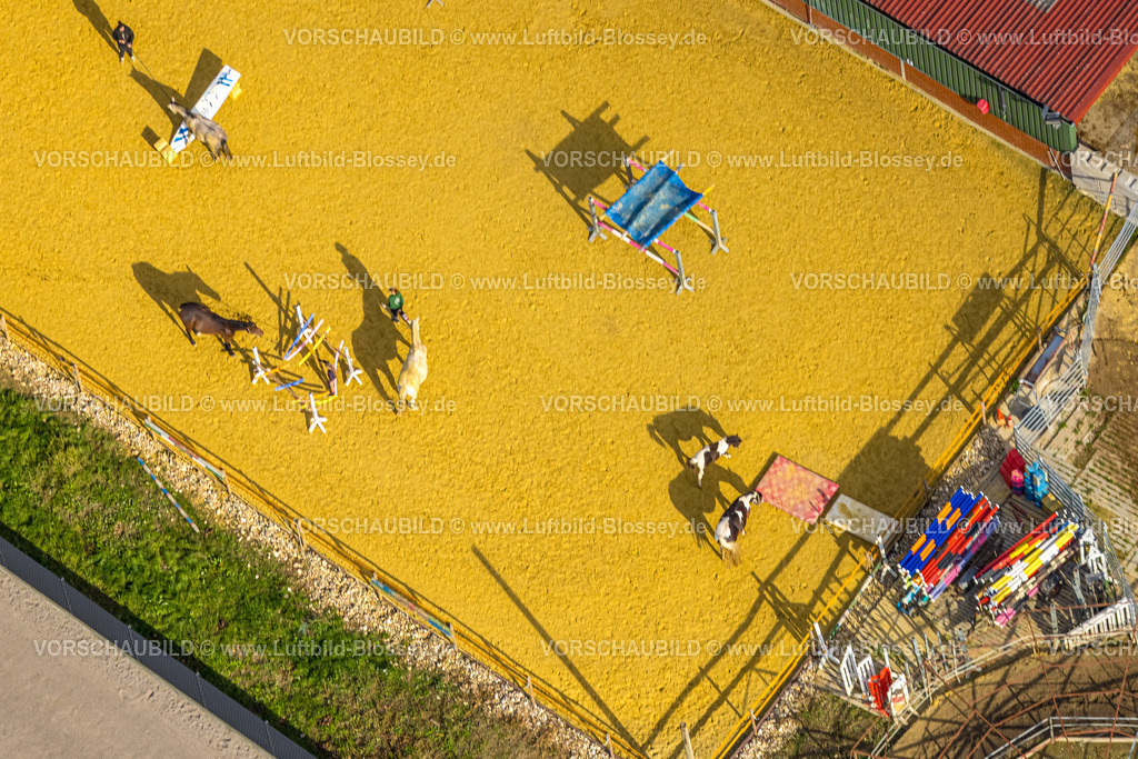 Rees251004923 | Luftbild, Pferdetraining Reitanlage Ulmenweg, Formen und Farben, Esserden, Rees, Niederrhein, Nordrhein-Westfalen, Deutschland