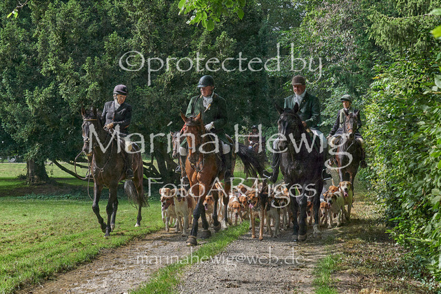 09-23 JAgd PerdölDSC02199_Marina Hewig | Fotografie, FotoArt, PferdesportArt, Pferdesportfotografie, Landschaftsfotografie, Reisefotografie, Reise, Pferde - Realisiert mit Pictrs.com