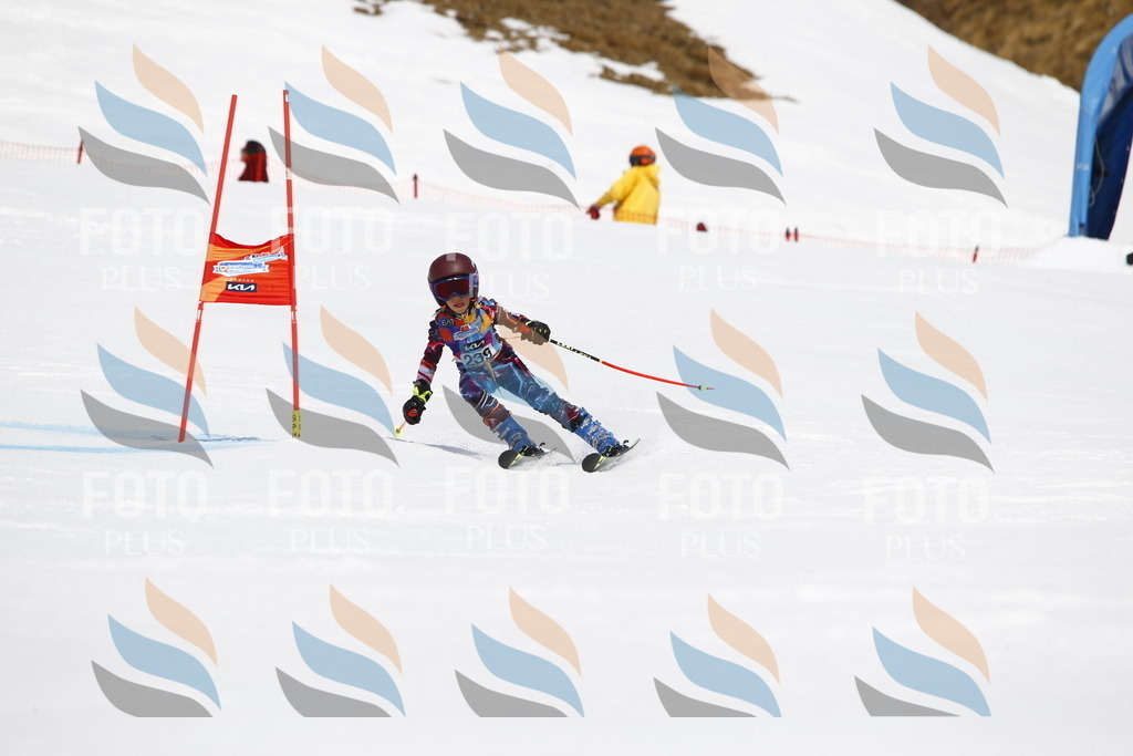 _U3G6068 | holidayphoto