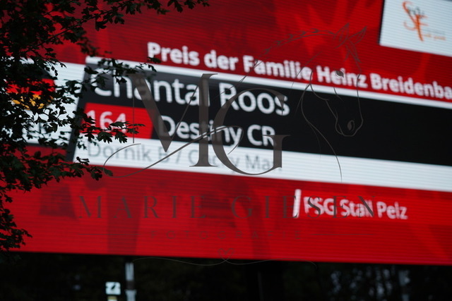 VAN01788 | Pferdefotografie in Köln und Umgebung – emotionale Pferdeshootings, Turnierfotografie und besondere Momente zwischen Pferd und Mensch. - Realisiert mit Pictrs.com