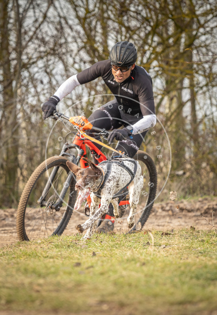 Pfotenfotografie_DV3A7087 | Hundefotografie, Tierfotograf, Pfotenfotografie, Fotoshooting Hund, Hunde Portrait, Hundesport, Hundeportraits, Heideshooting, Hunde, Sportfotograf, Hundefotograf, Turnierhundsport, THS,  - Realisiert mit Pictrs.com
