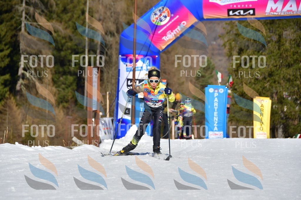 _DSC8593 | holidayphoto