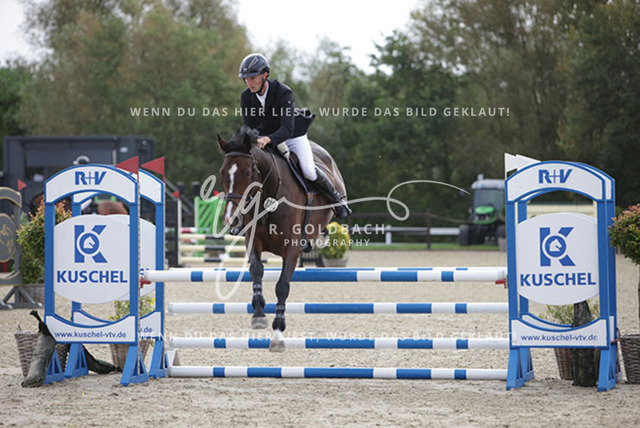 1J2A8496Alexander Liebe_ Coraz_n 8_ Kn304_ Havekost | Foto- und Videografie für alles rund ums Pferd. Hochwertige Bilder und Videos vom Spring- und Dressurreiten, Voltigieren & mehr. Jetzt aktuelle Veranstaltungen und Preise im Shop ansehen. - Realisiert mit Pictrs.com