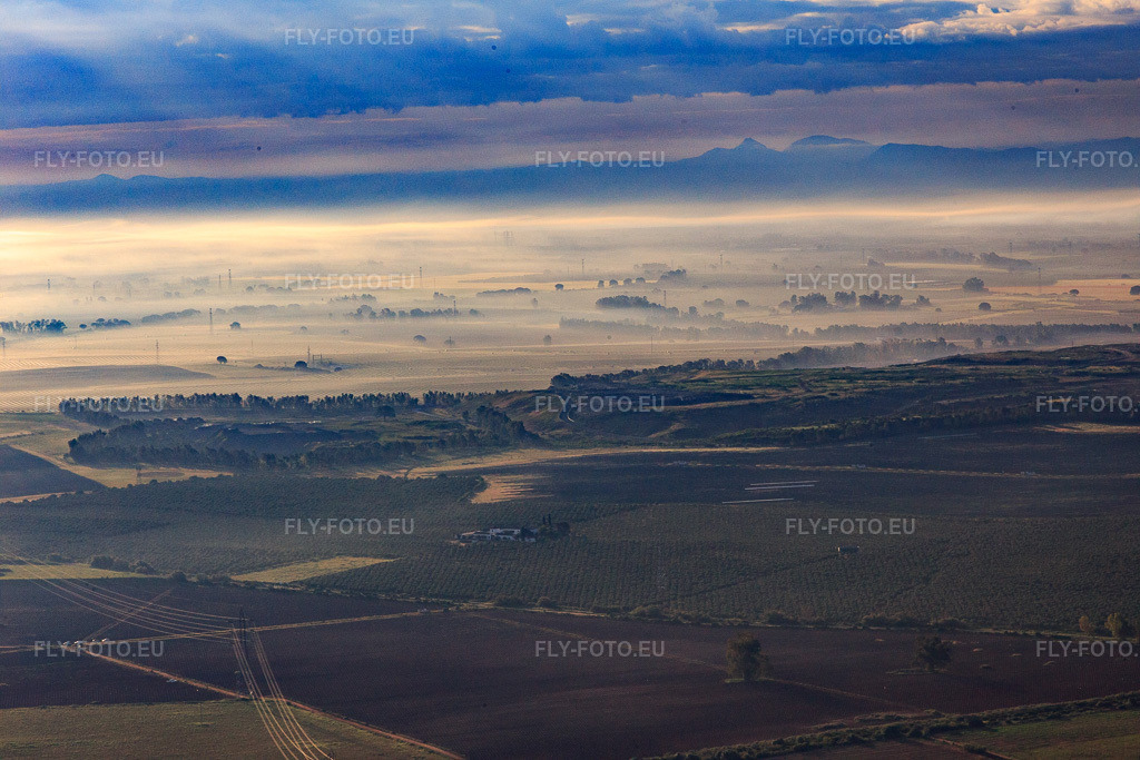 Vue aérienne: Oliveraies enveloppées de brume matinale à Alcalá de Guadaíra dans le département Séville, Espagne. Photo: IMG_145715.jpg prise le 22/04/2025 par Werner Riehm/FLY-FOTO.eu – Résolution de l'original: 5472 x 3648 px