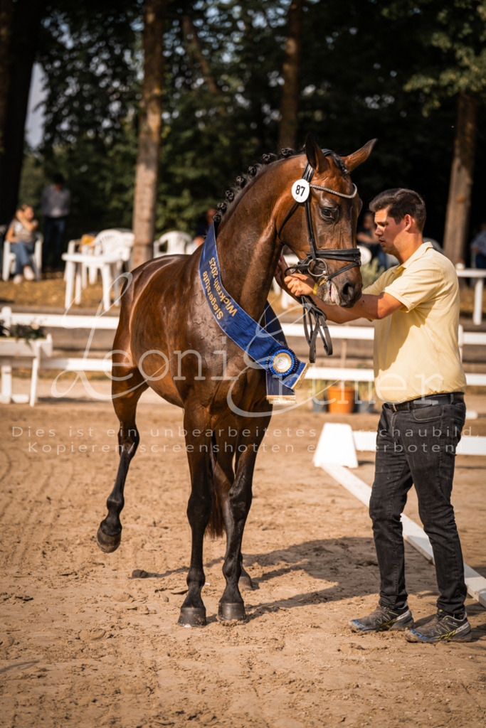 FrER00209 | Leoni Ertmer Photography - Realisiert mit Pictrs.com