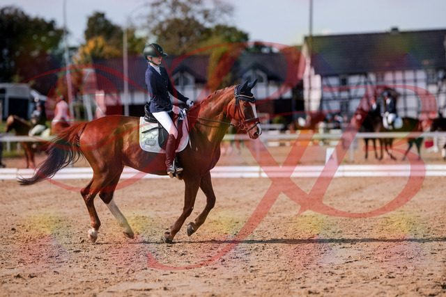 2026_10_03_Siefer-Hof_123759_Z81_34785619 | Professionelle Reitsport-, Turnier- und Eventfotografie von Robert Broda. Galerien mit ausgewählten und bearbeiteten Bildern direkt online ansehen und bestellen.