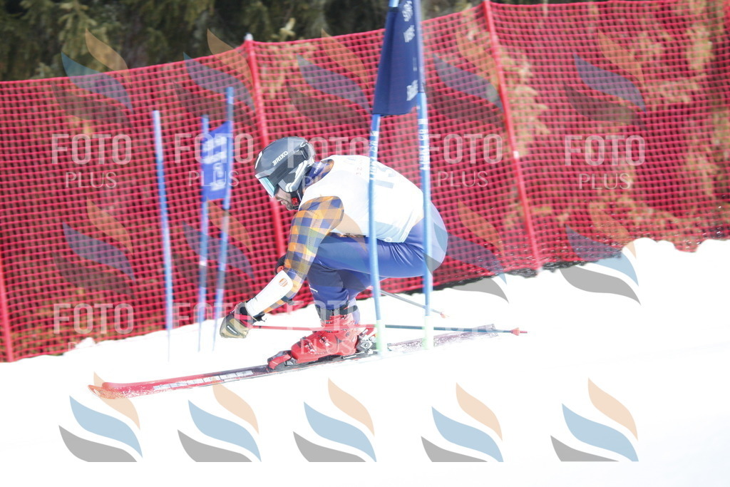 D6912 | holidayphoto