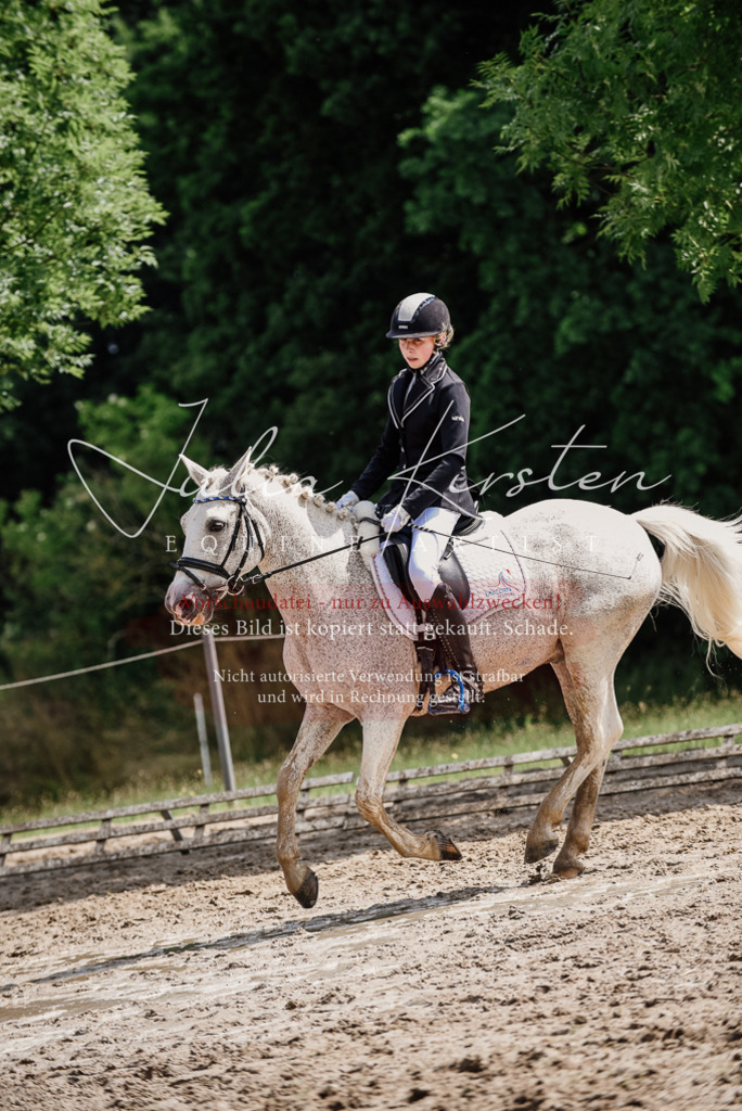 DSC_0545 | Pferde- und Turnierfotografie in Westsachsen. Pferdeportraits, Auftragszeichnungen und intuitive Kunst.
