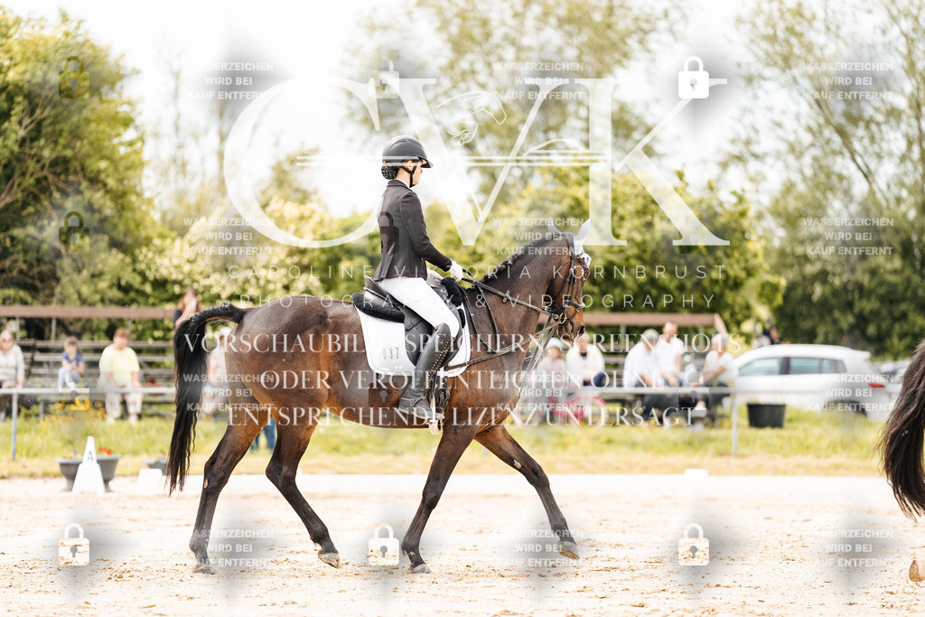 CK902811 | Turnierfotografie Pferdefotografie Trier Rheinland-Pfalz Pferdesport Reitsport Tierfotografie Sportfotografie Pferdevideo Pferdevideografie Equestrianvideography equestrianphotography  - Realisiert mit Pictrs.com
