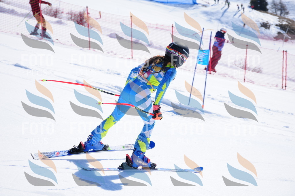 DSC_3701 | holidayphoto