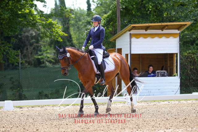 DKP42396 | Turniersportfotografie; Pferdefotografie; Dressurfotografie