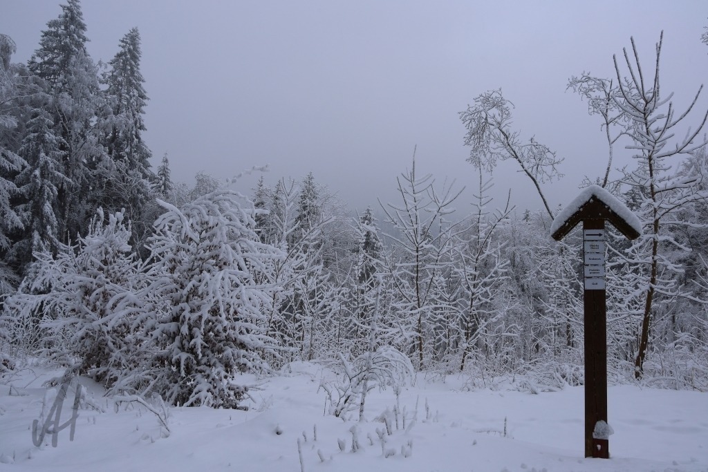 Winterstimmung im Kaiserwald | Winterstimmung im Kaiserwald - Realisiert mit Pictrs.com