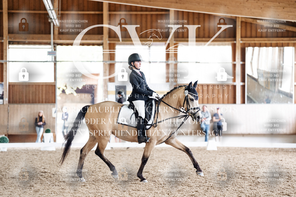 CK901560 | Turnierfotografie Pferdefotografie Trier Rheinland-Pfalz Pferdesport Reitsport Tierfotografie Sportfotografie Pferdevideo Pferdevideografie Equestrianvideography equestrianphotography  - Realisiert mit Pictrs.com