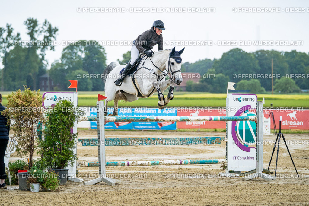 DSC04373 | Pferdegrafie