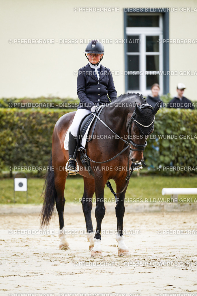 DSC04946 | Pferdegrafie