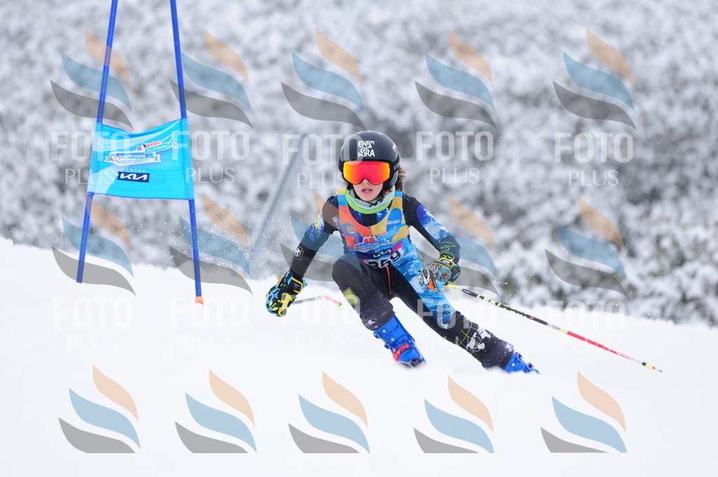 C3836 | holidayphoto