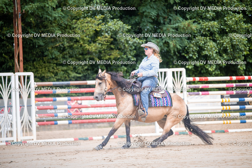 ZS3_5164 | dv-media-shop - Realisiert mit Pictrs.com