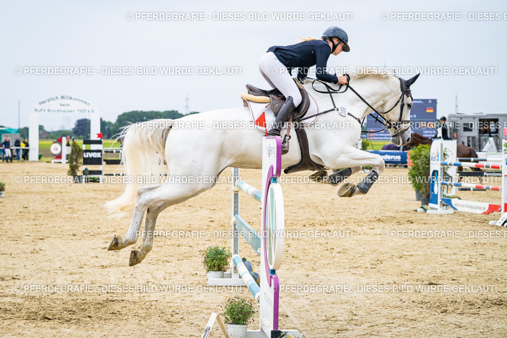 DSC06975 | Pferdegrafie