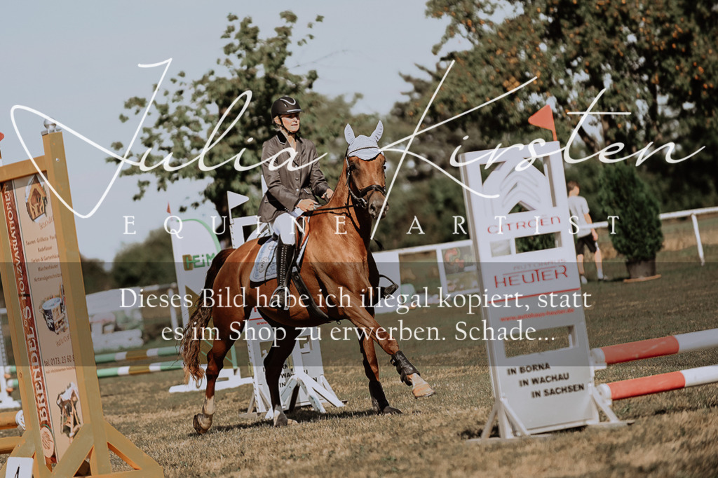 DSC_9285 | Pferde- und Turnierfotografie in Westsachsen. Pferdeportraits, Auftragszeichnungen und intuitive Kunst.