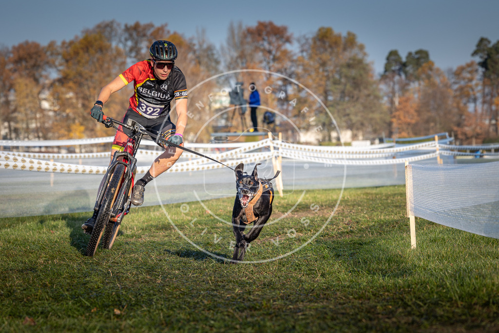 CaniXpix_0L8A3870 | Hundefotografie, Tierfotograf, Pfotenfotografie, Fotoshooting Hund, Hunde Portrait, Hundesport, Hundeportraits, Heideshooting, Hunde, Sportfotograf, Hundefotograf, Turnierhundsport, THS,  - Realisiert mit Pictrs.com