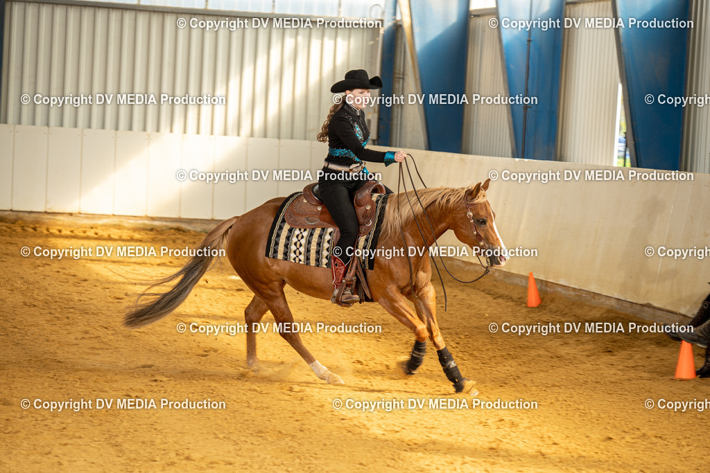 MIT00873 | dv-media-shop - Realisiert mit Pictrs.com