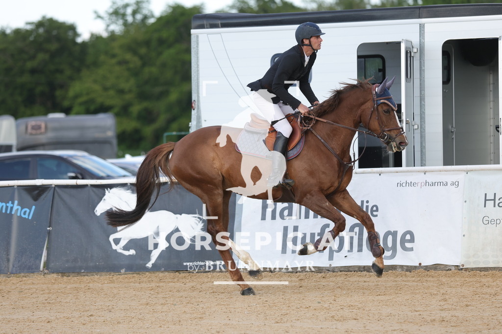 0P6A9877 | Willkommen bei Brunnmayr - Design & Fotografie – Ihrem Spezialisten für Reitturniere und Pferdeveranstaltungen in Oberösterreich, Salzburg und Bayern! Seit über 17 Jahren sind wir leidenschaftlich dabei.