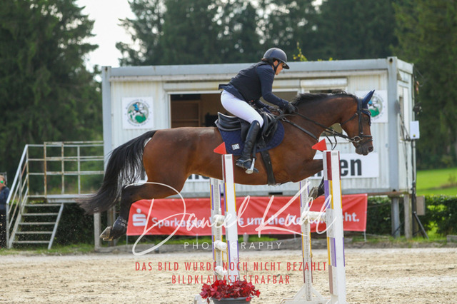 DKP43689 | Turniersportfotografie; Pferdefotografie; Dressurfotografie