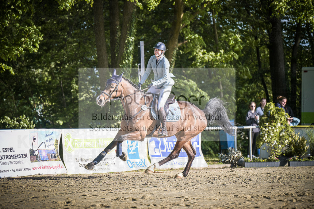 DOS_3929 | Entdecke hochwertige Reitturnierfotos von Foto Oger. Professionell, emotional und authentisch – jetzt Lieblingsmomente im Shop bestellen.Deutschlandweite Turnierfotografie. - Realisiert mit Pictrs.com