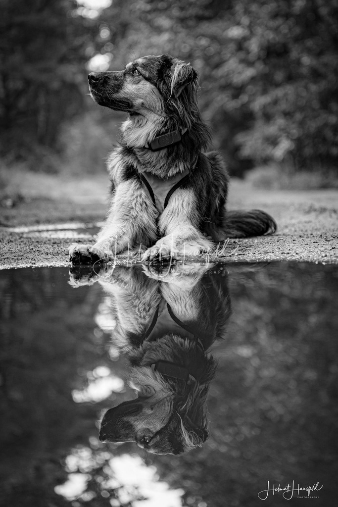 DSC01433kl | Landschaftsfotografie, Naturfotografie - Realisiert mit Pictrs.com