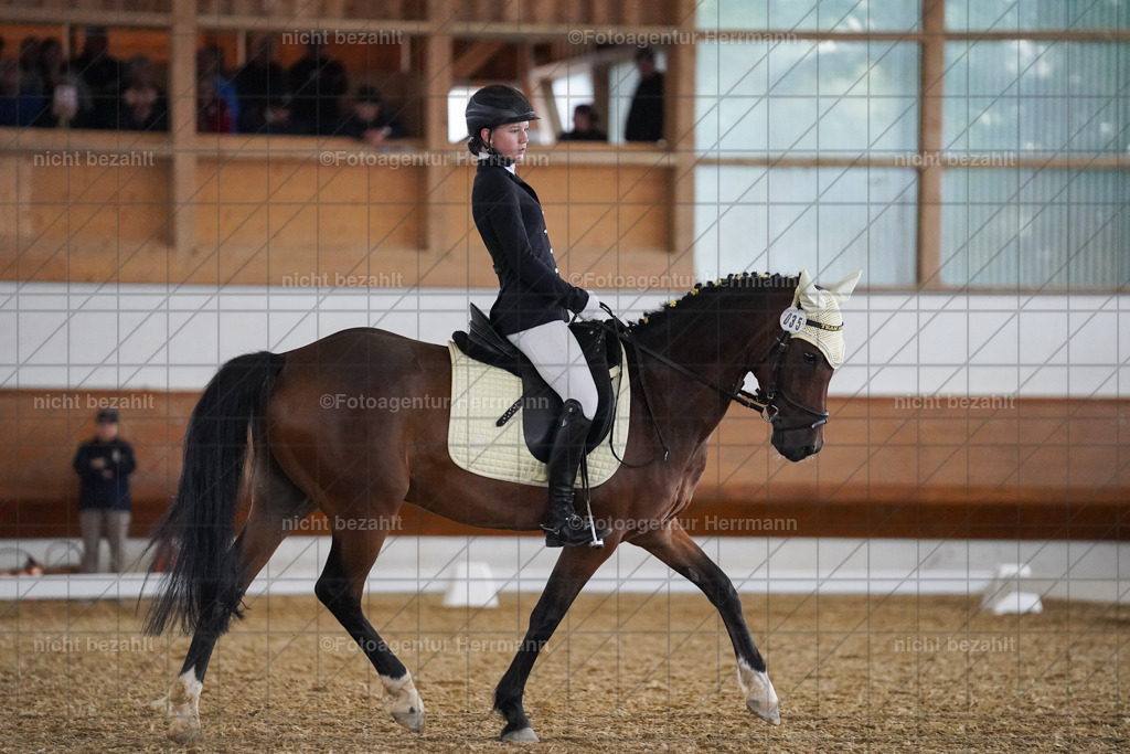 20240825-FAH09514 | Turnierbilder, Reitsportfotos, LAPO, Landesponyturnier, Turnierfotografen Bayern