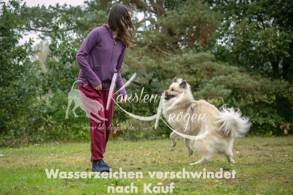 1114_ZZ93927-Bearbeitet | kk-dogfotos