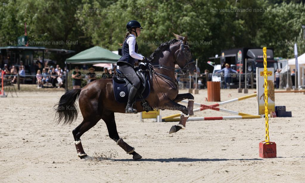WM_Speed_Junioren_48_KerstinBernhardt-10 | working equitationturnier fotograf videograf stoibphotography marixx film working equitation deutschland reitsport turnierfotografie eventfotografie equestrian events